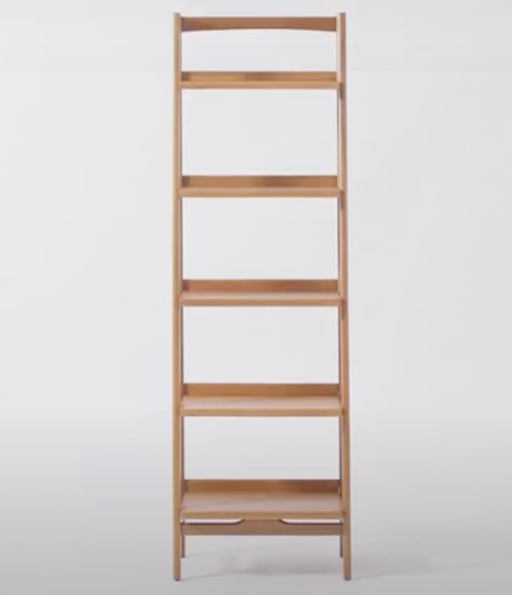 These Ladder Bookshelves Will Solve All of Your Organization Needs